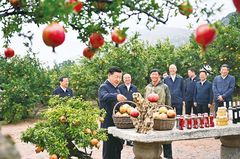 2023年9月24日，中共中央總書記、國家主席、中央軍委主席習(xí)近平在浙江考察結(jié)束返京途中，來到山東省棗莊市考察。.jpg