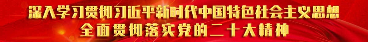 學(xué)習(xí)20大精神.png