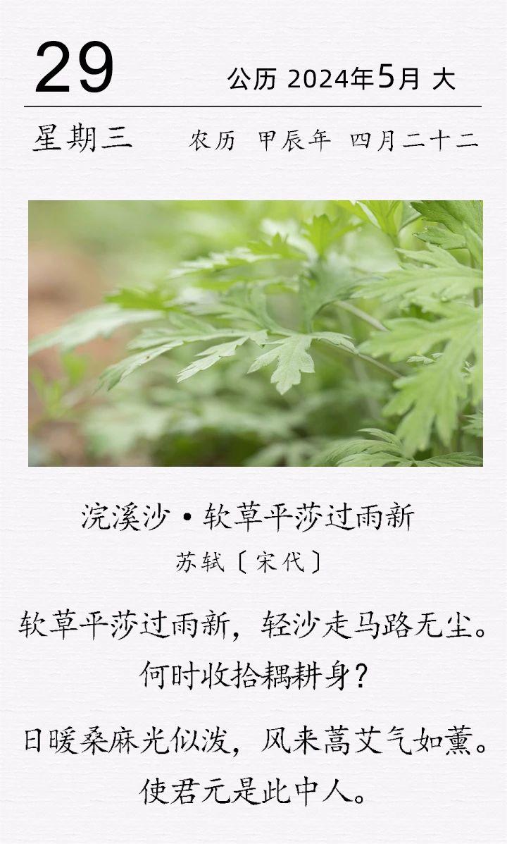 蘇軾《浣溪沙·軟草平莎過雨新》.jpg