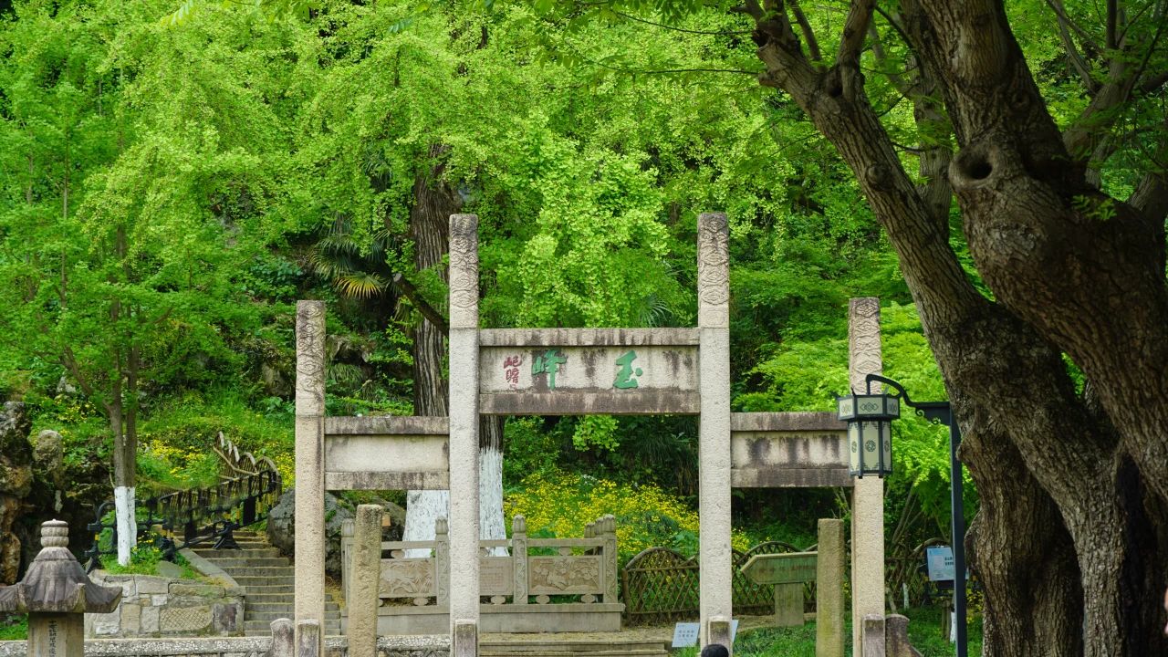 夏風(fēng)中，有“獨屬于夏日”的生氣4.jpg