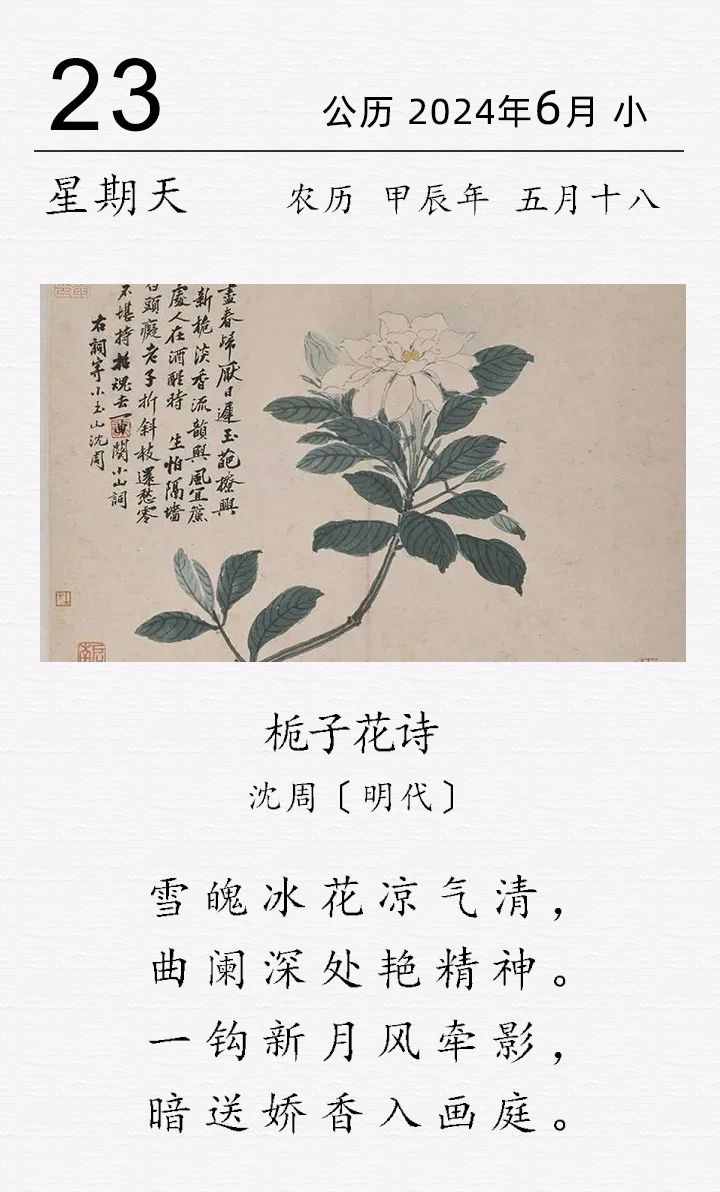 沈周《梔子花詩》.jpg