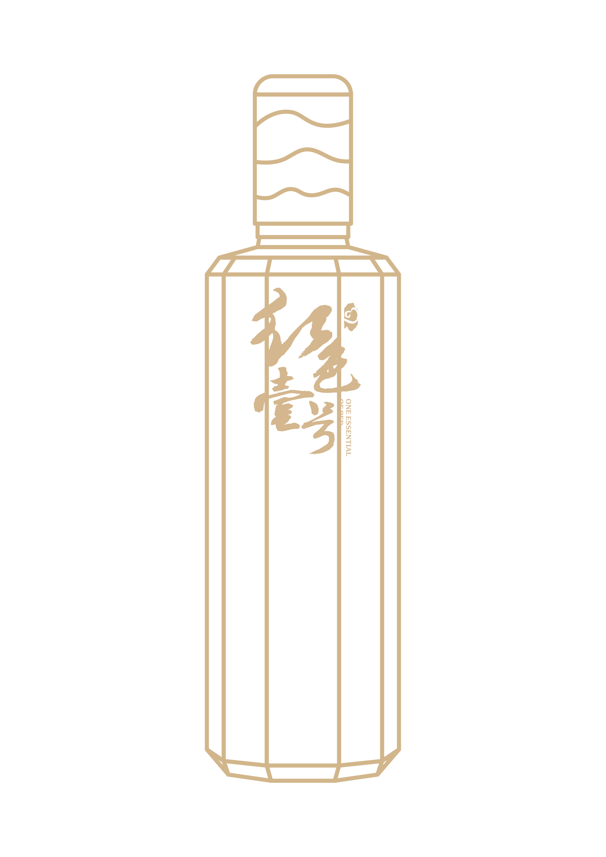 國(guó)禮酒瓶裝飾.png