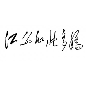 山東推進(jìn)黃河三角洲鹽堿地綜合開發(fā)利用—— 在鹽堿地上種下新希