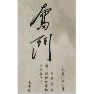 這兩個(gè)字毛主席和老蔣都寫過(guò)，孫先生也有，您比較看好哪一個(gè)？